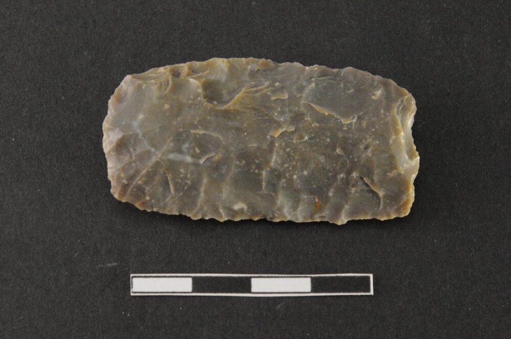 Raschiatoio multiplo / elemento di falcetto (Bagolini, tipo F7A)