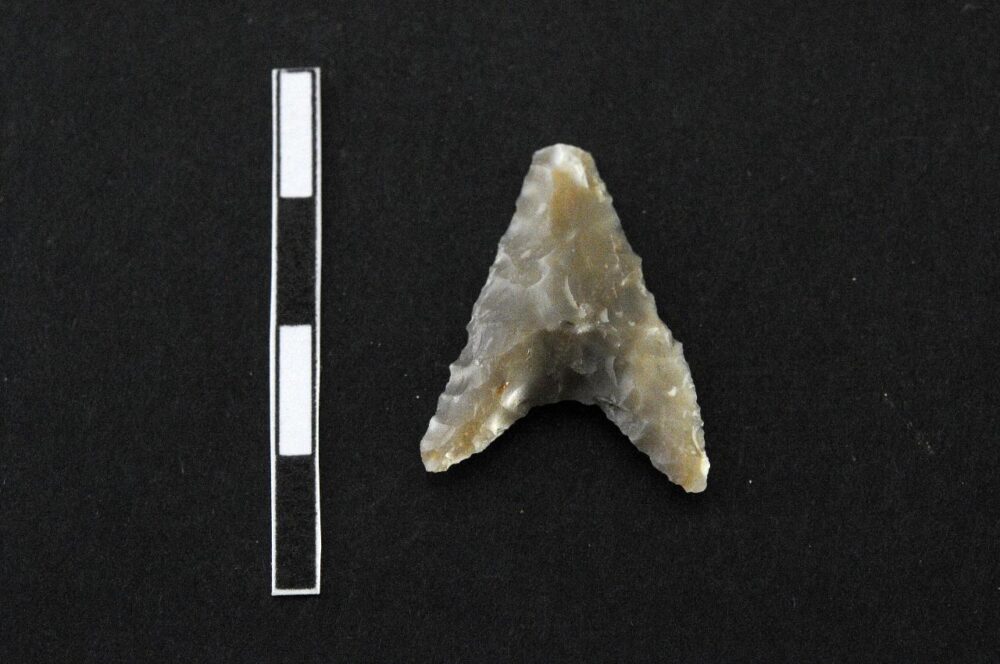 Punta di freccia (Bagolini, tipo F2A)