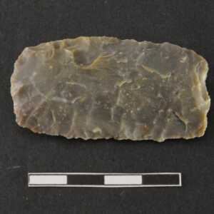 Raschiatoio multiplo / elemento di falcetto (Bagolini, tipo F7A)