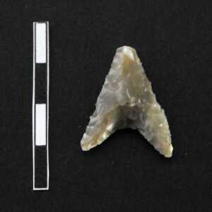 Punta di freccia (Bagolini, tipo F2A)